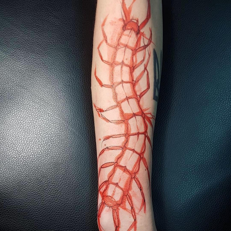 Centipede, photo - Tattoo Master Barb Tattoo