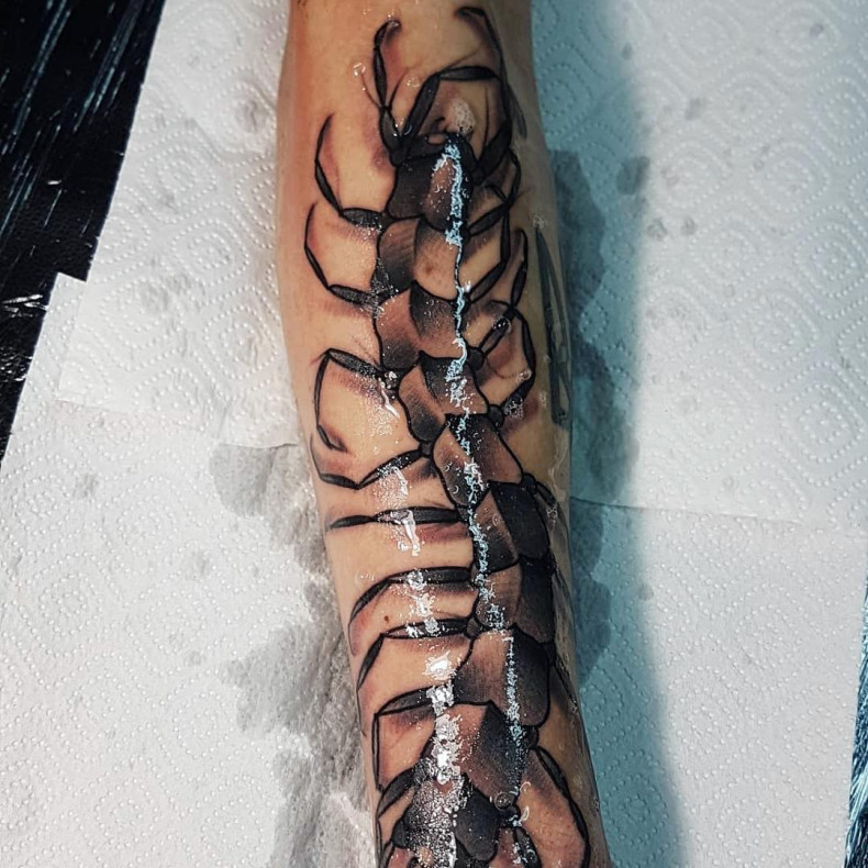 Centipede, photo - Tattoo Master Barb Tattoo