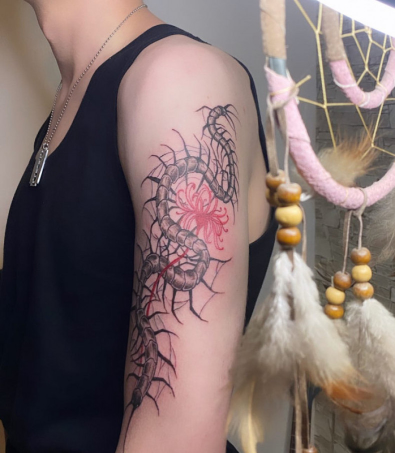 Skolopendra, photo - Tatuażysta Barb Tattoo