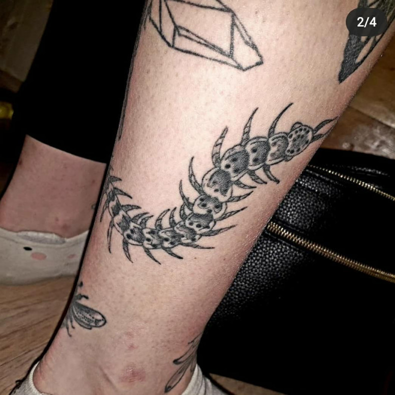 Centipede, photo - Tattoo Master Barb Tattoo