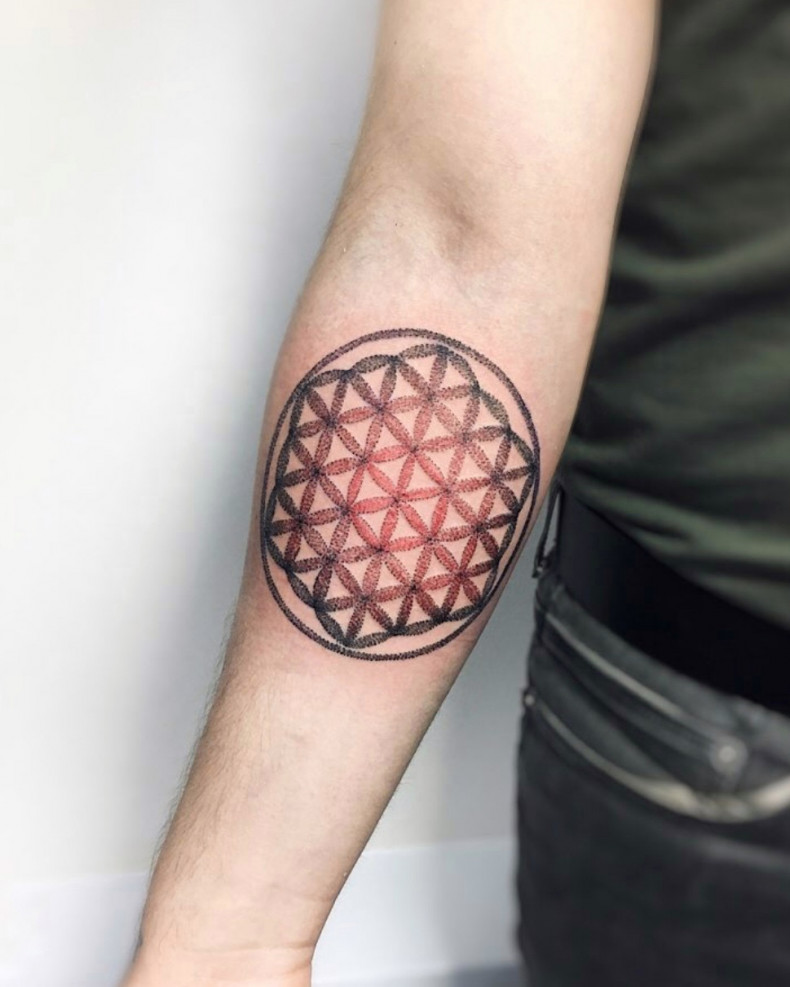 Flower of life, photo - Tattoo Master Barb Tattoo