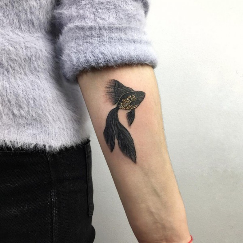 Золотая рыбка, photo - Тату мастер Barb Tattoo