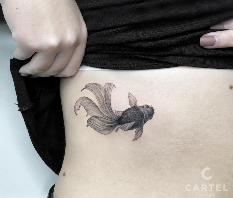 Золотая рыбка, photo - Тату мастер Barb Tattoo