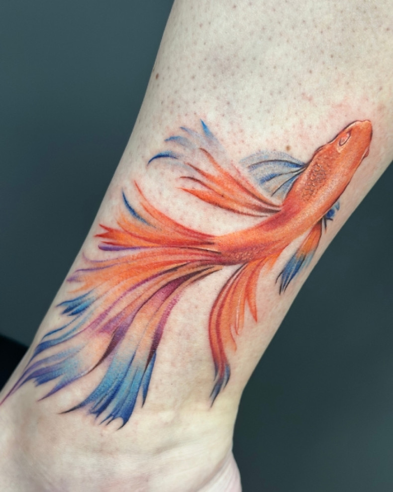  #Goldfisch, photo - Tattoo-Meister Barb Tattoo