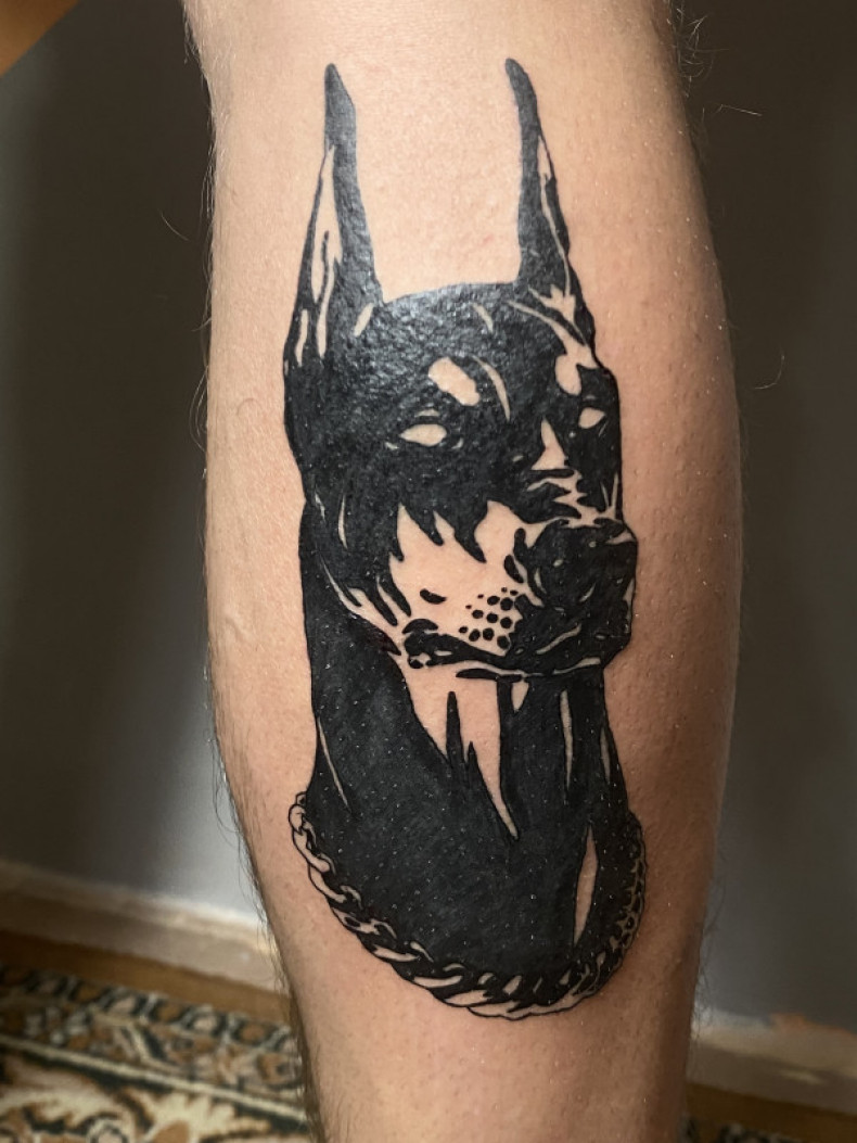 Doberman, photo - Tattoo Master Barb Tattoo