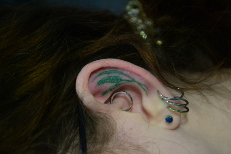 Ear, photo - Tattoo Master Barb Tattoo