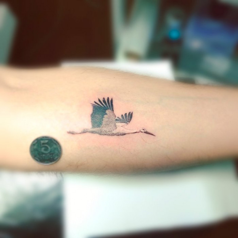 Mini stork tattoo, photo - Tattoo Master Barb Tattoo