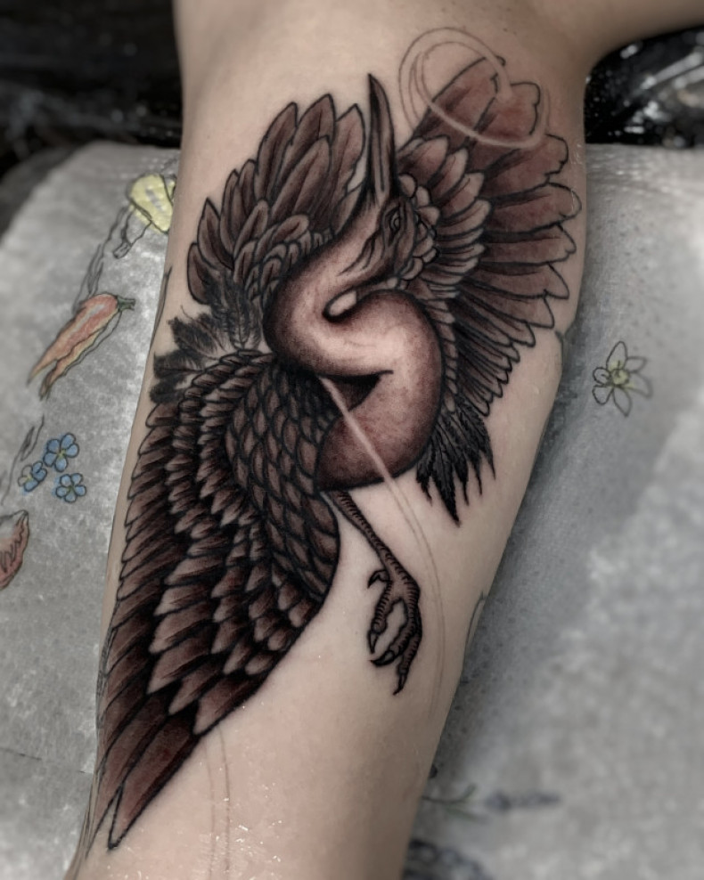 Stork crane, photo - Tattoo Master Barb Tattoo