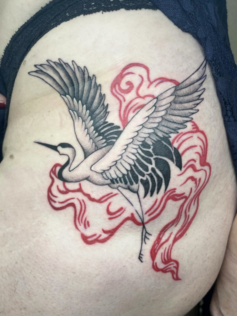 Stork crane, photo - Tattoo Master Barb Tattoo