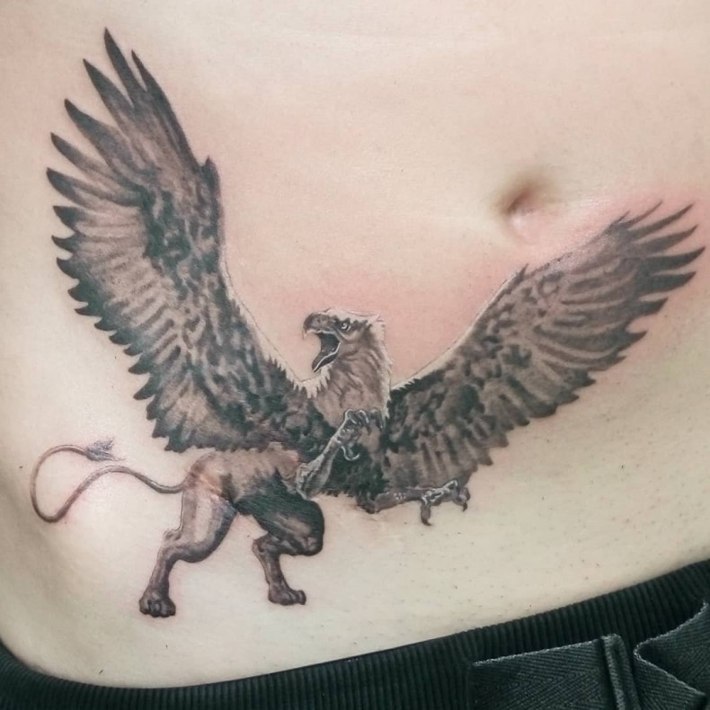 Tatuaż gryfa na brzuchu, photo - Tatuażysta Barb Tattoo