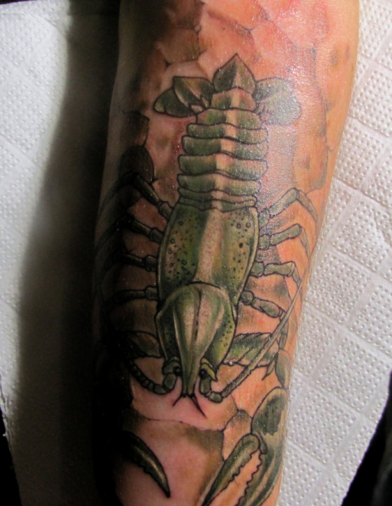 Lobster, photo - Tattoo Master Barb Tattoo