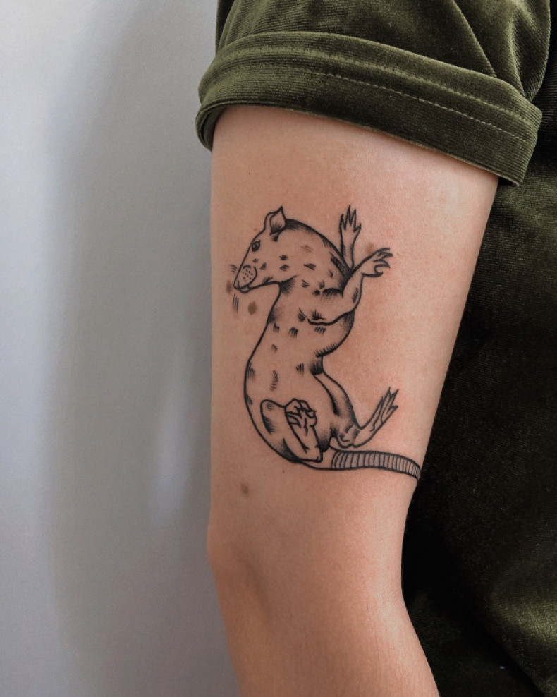 Mysz, photo - Tatuażysta Barb Tattoo