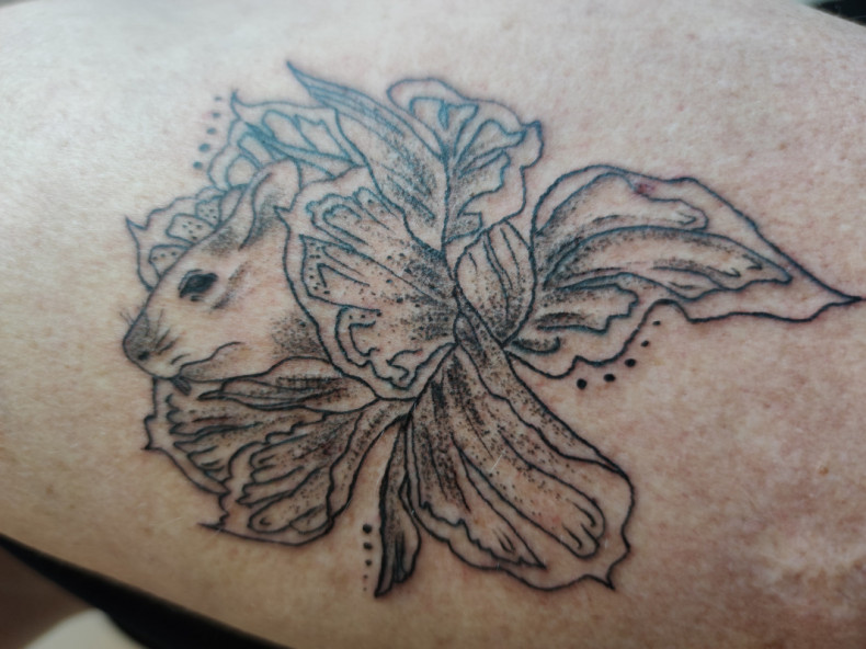 Mysz, photo - Tatuażysta Barb Tattoo