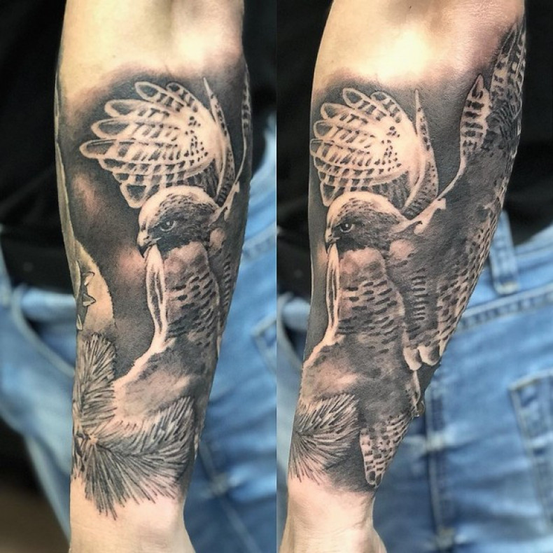 Falcon, photo - Tattoo Master Barb Tattoo