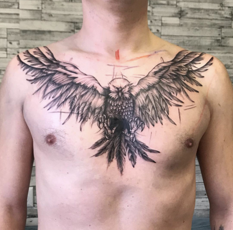 Falcon, photo - Tattoo Master Barb Tattoo