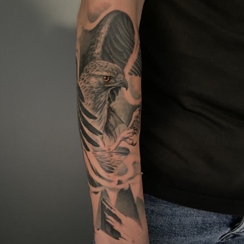 Sokół, photo - Tatuażysta Barb Tattoo