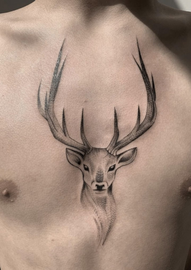 Männer Brust reh, photo - Tattoo-Studio Sect Tattoo