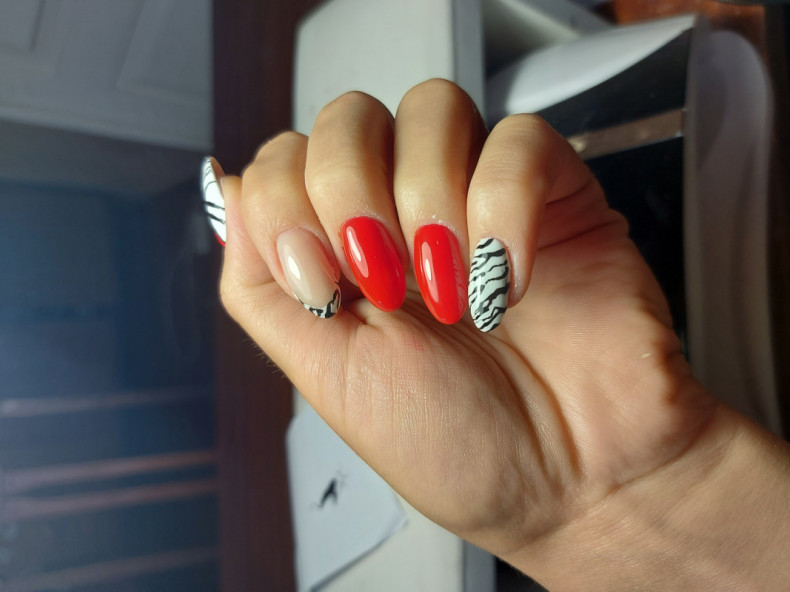 Zebra weiße Maniküre rote, photo - Maniküre Barb Manicure