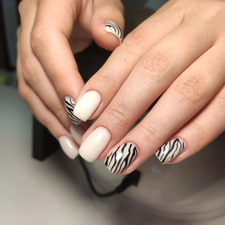 Zebra weiße Maniküre mit Drucken, photo - Maniküre Barb Manicure