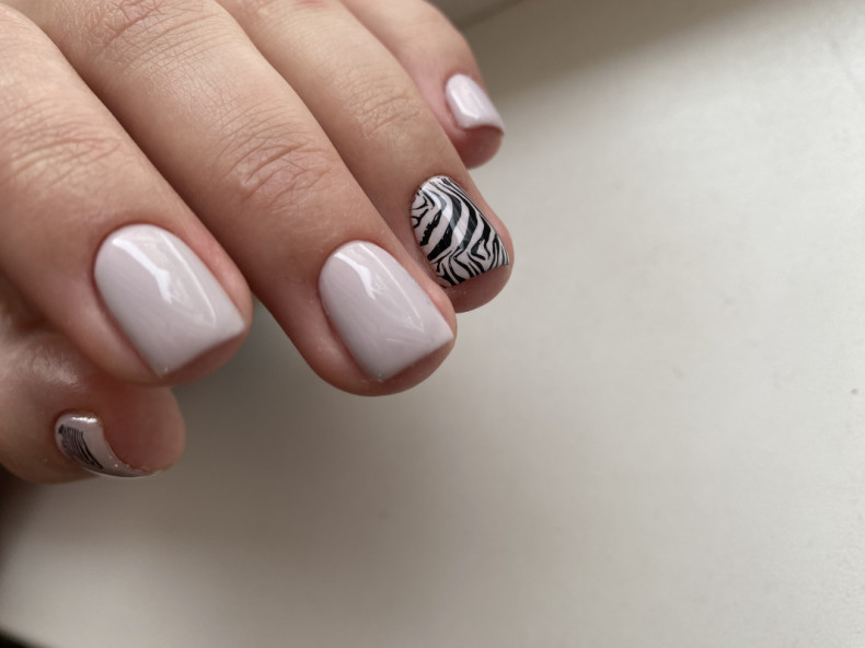 Zebra weiße Maniküre manicure for short nails, photo - Maniküre Barb Manicure