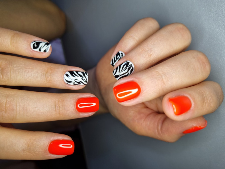 Zebra weiße Maniküre rote, photo - Maniküre Barb Manicure