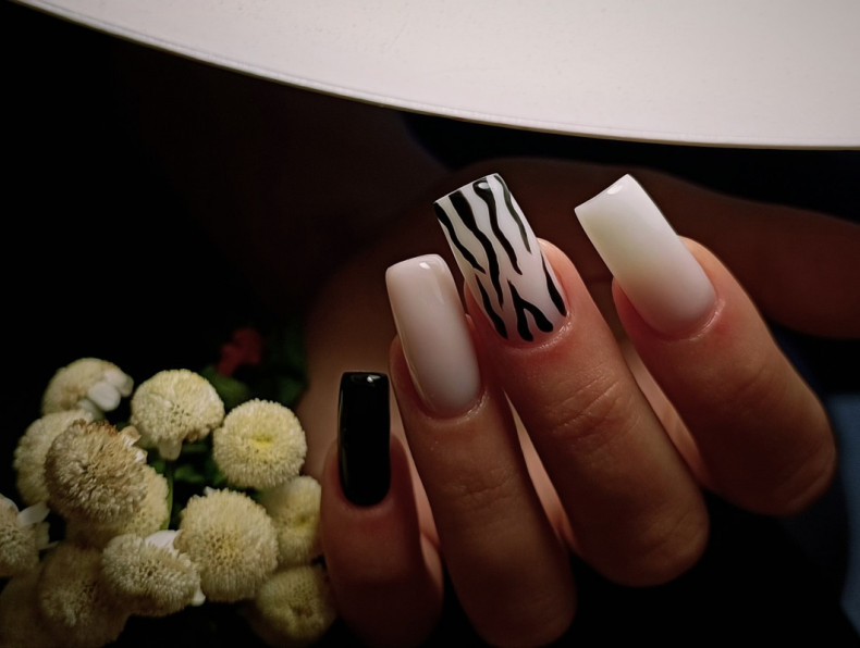 Zebra weiße Maniküre mit Drucken, photo - Maniküre Barb Manicure