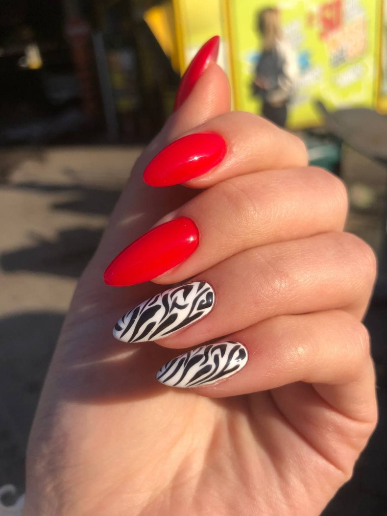 Zebra rote Maniküre für scharfe Nägel, photo - Maniküre Barb Manicure