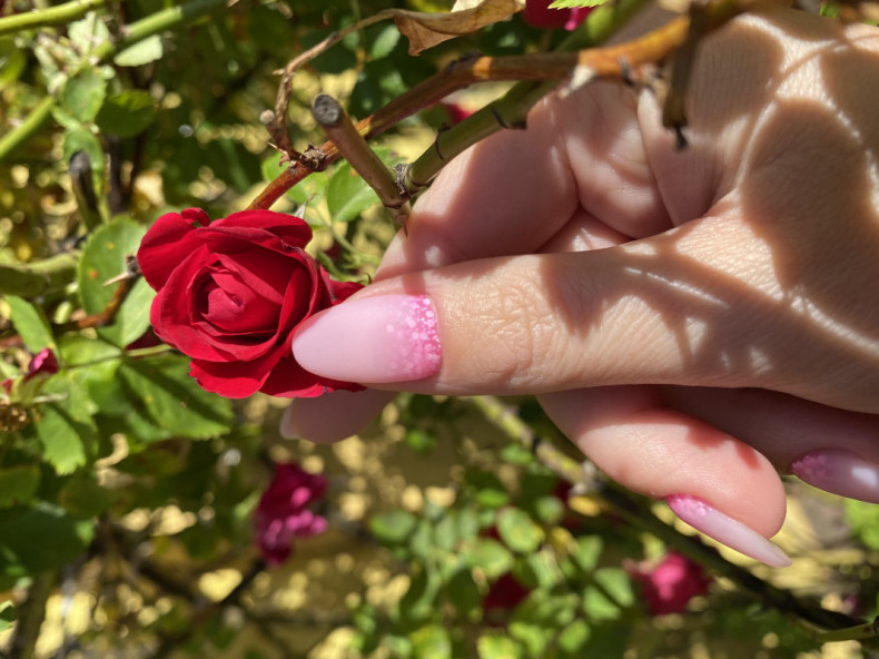  , photo - Manicurist Barb Manicure