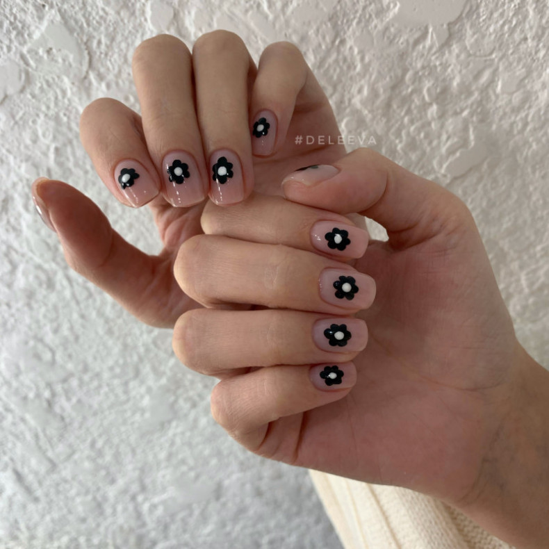 Black flower daisy, photo - Manicurist Barb Manicure