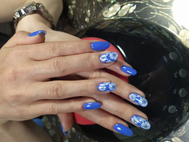 Light blue flower daisy, photo - Manicurist Barb Manicure