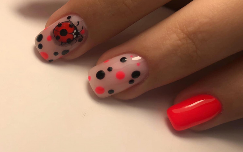 Polka dot, photo - Manicurist Barb Manicure