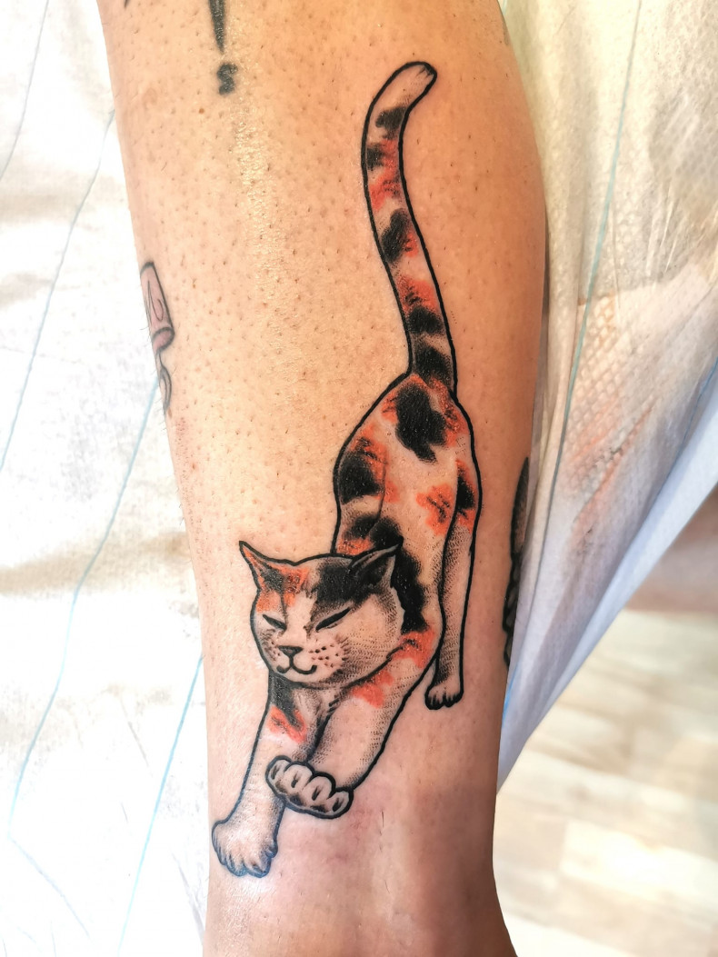 Katze bunt, photo - Tattoo-Meister Thomas Krug