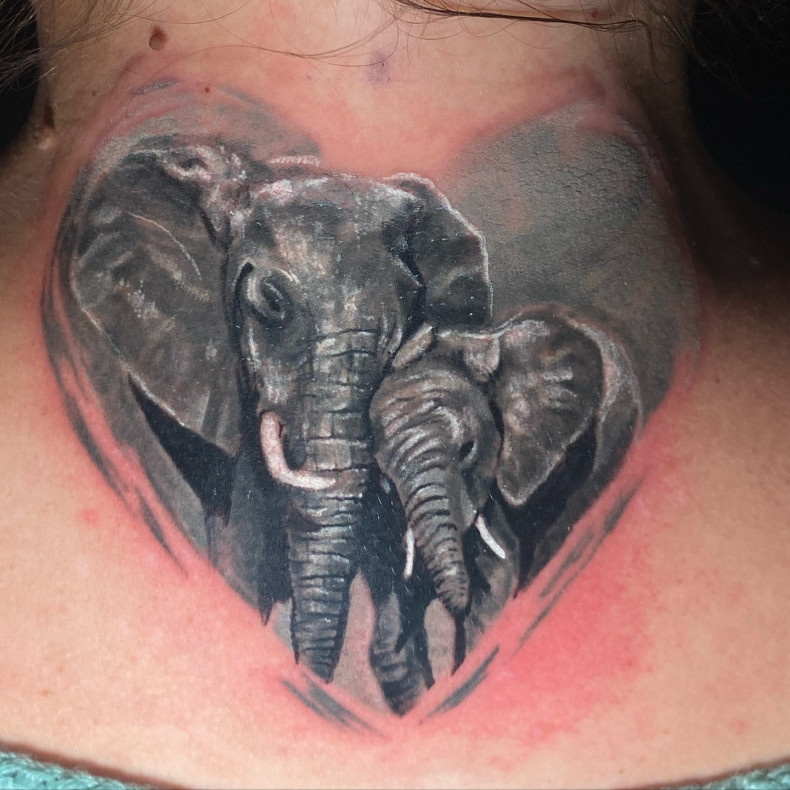 Elefant, photo - Tattoo-Studio Face2Face