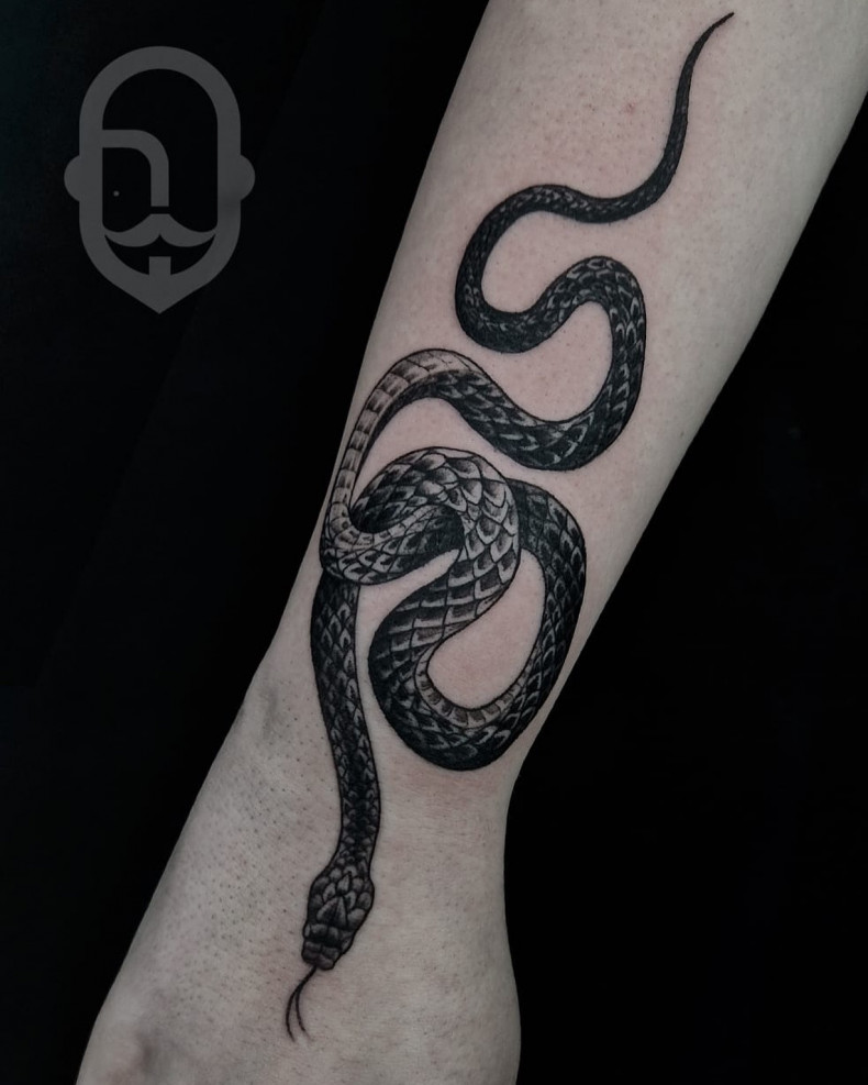 Snake arm, photo - Tattoo Studio Sorry Mom