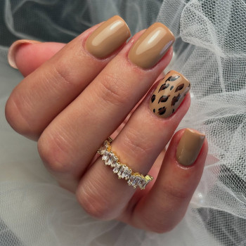 Pani z pazurem, Katowice Фото - 5