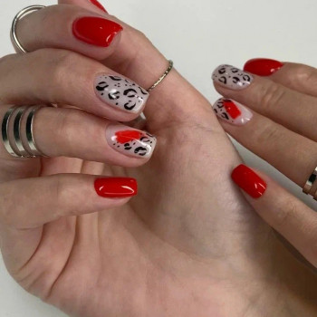 Салон красоты Saxap, Moscow Фото - 24