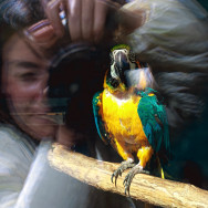 Fotograf dziecięcy Ирина Warszawa,