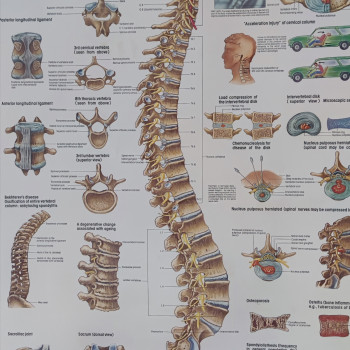 Sergey Knysh, Варшава Фото - 5