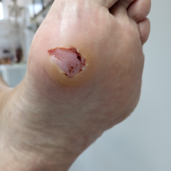 Наталья Гончарова, Haifa Фото - 15