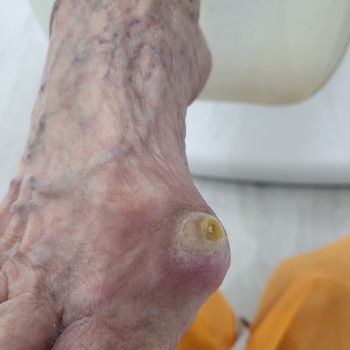 Наталья Гончарова, Haifa Фото - 19