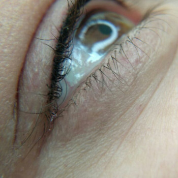 Eyebrow modeling