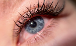 Efekt "Kolorowe Rzęsy" Schönheitssalon Ansty Lashes & Beauty Bar Warsaw