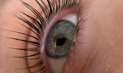 Lifting rzęs: laminacja, farbowanie, botox Beauty Salon Ansty Lashes & Beauty Bar Warsaw