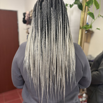 Alena , Wroclaw Фото - 22