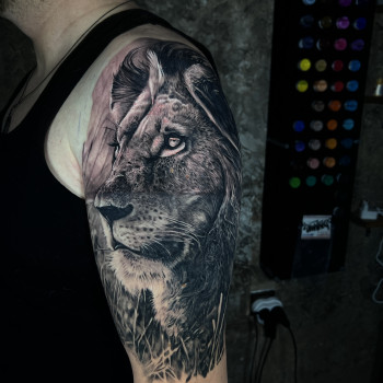 Oleksii Dmytrov, Warsaw Фото - 13