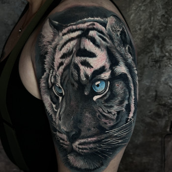 Oleksii Dmytrov, Warsaw Фото - 18