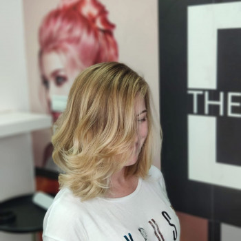 Балаяж
                    Колорист Ирина Шпильская Хайфа