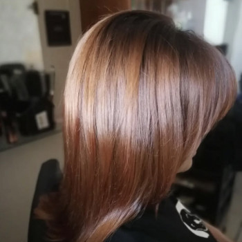 Биксипластика, BotoRenoPlex