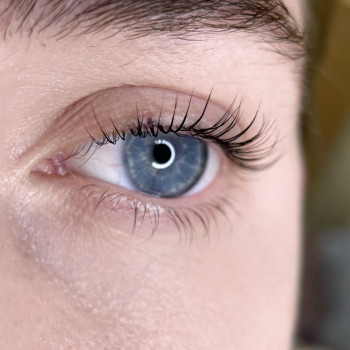 Диана Дручек