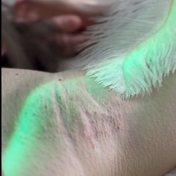 Шугаринг неглубокого бикини / муж.